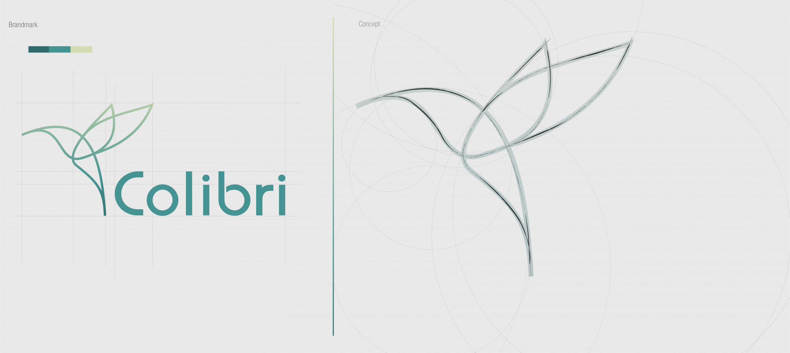 colibri_web_concept-scaled-small